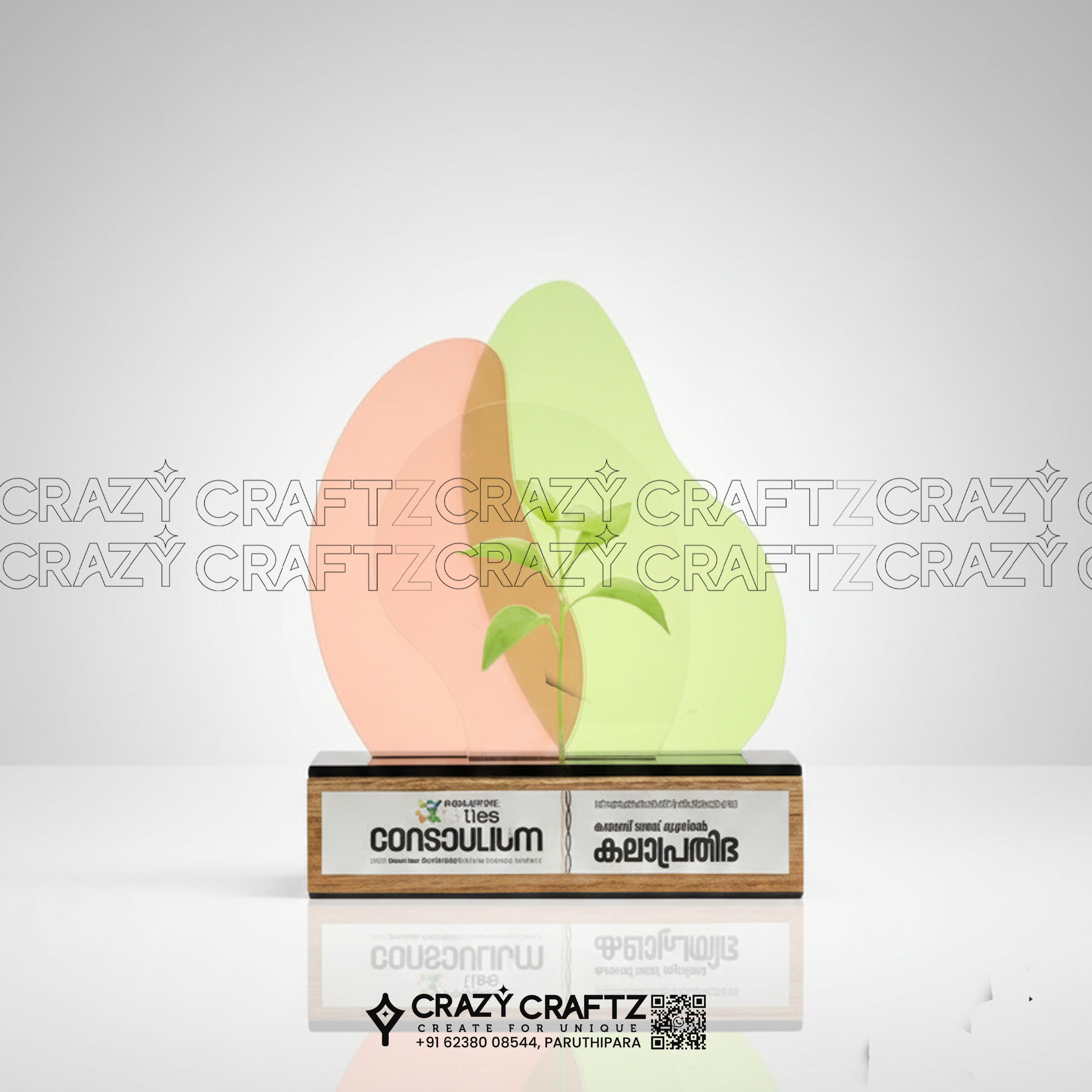 S 1020 - Star of the Fest